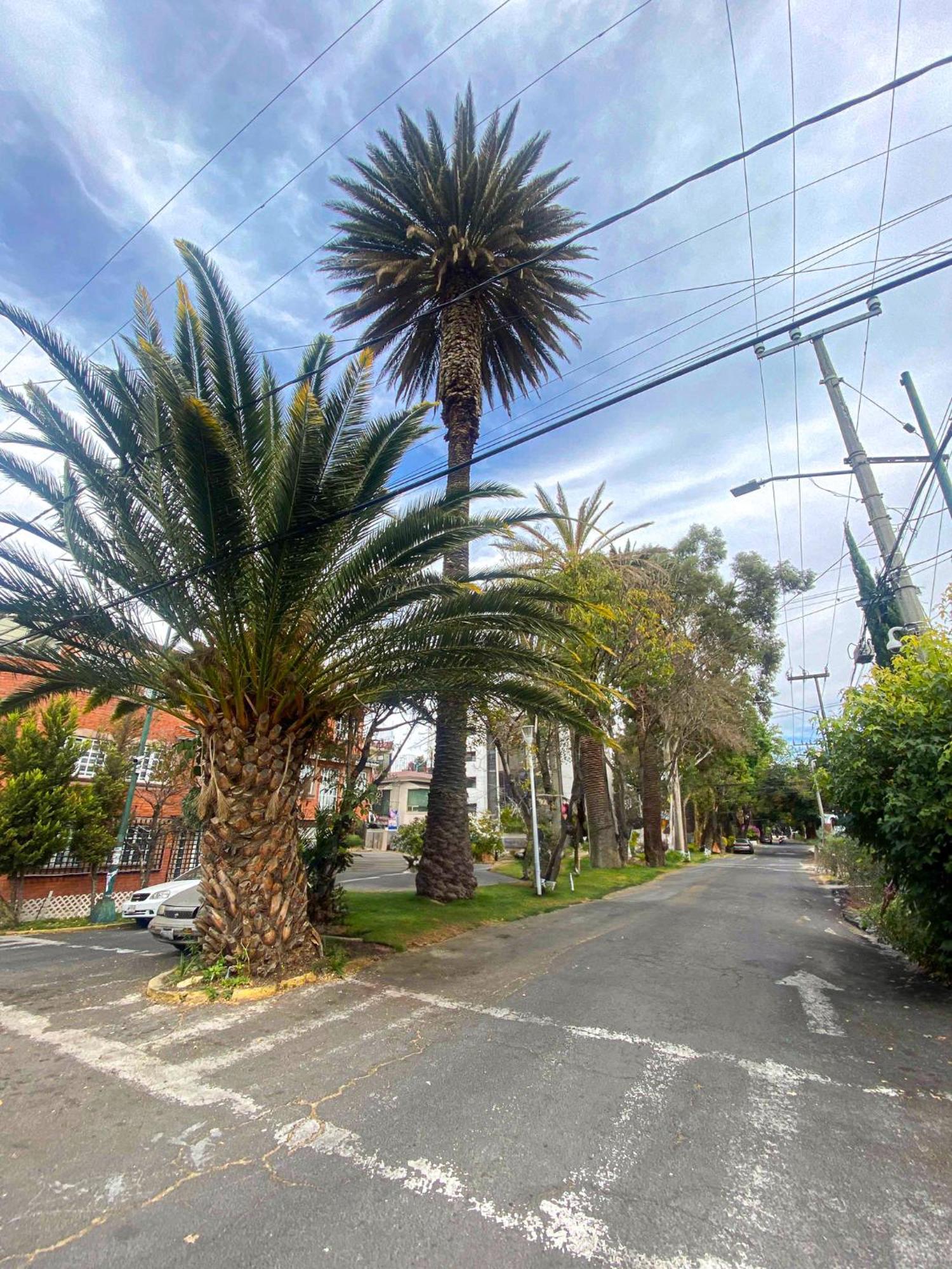 Modern Studio, Rooftop Charm, Cdmx Center2 Cidade do México Exterior foto